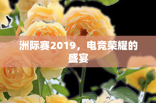 洲际赛2019图片