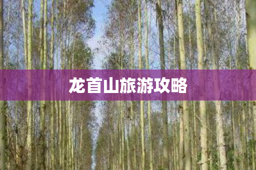 龙首山旅游攻略图片