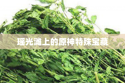 瑶光滩上的原神特殊宝藏图片