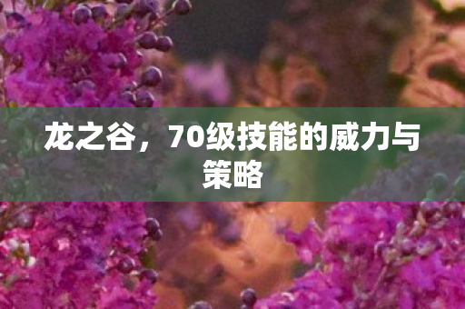 70级技能的威力与策略图片