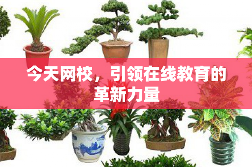 引领在线教育的革新力量图片