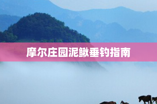 摩尔庄园泥鳅垂钓指南图片