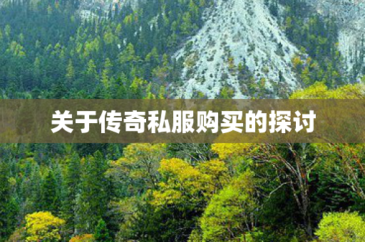 关于传奇私服购买的探讨图片