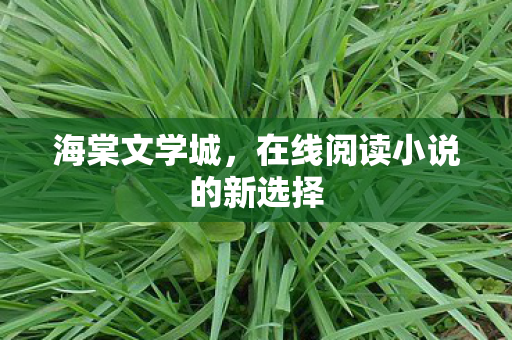 在线阅读小说的新选择图片