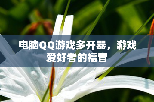 电脑QQ游戏多开器图片