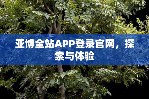 亚博全站APP登录官网图片