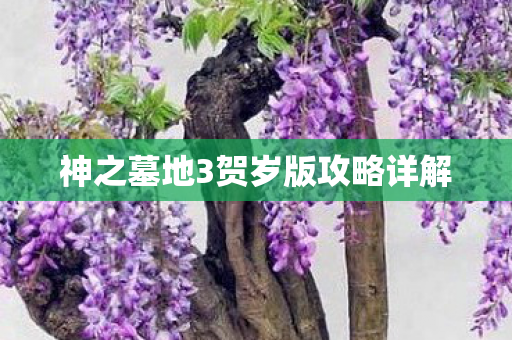 神之墓地3贺岁版攻略详解图片