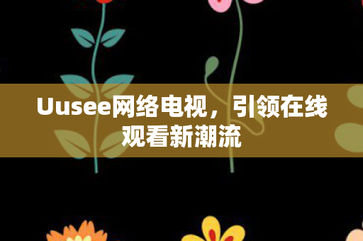 Uusee网络电视图片