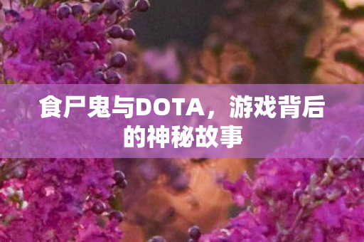 游戏背后的神秘故事图片