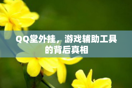 游戏辅助工具的背后真相图片