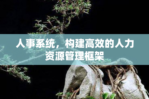 构建高效的人力资源管理框架图片