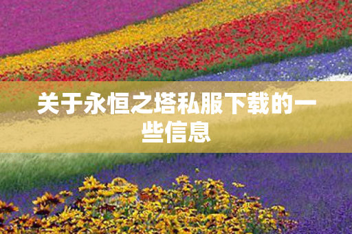 关于永恒之塔私服下载的一些信息图片
