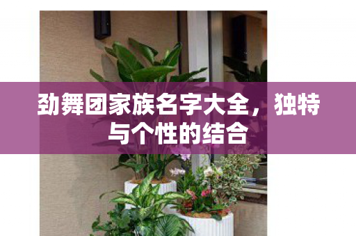 劲舞团家族名字大全图片
