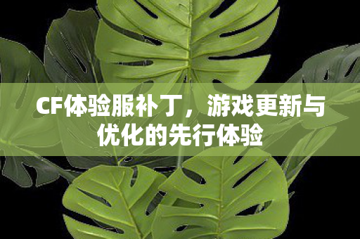 游戏更新与优化的先行体验图片