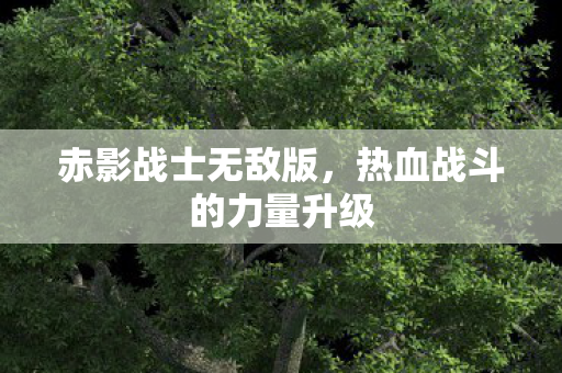热血战斗的力量升级图片