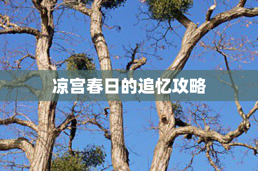 凉宫春日的追忆攻略图片