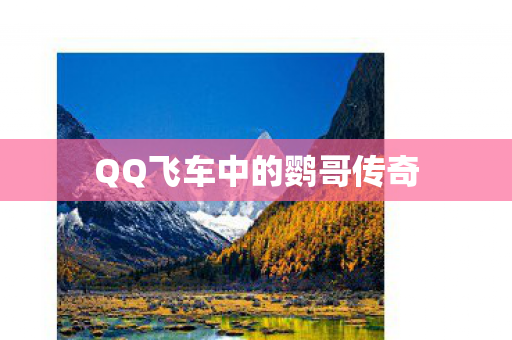 QQ飞车中的鹦哥传奇图片