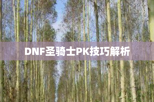 DNF圣骑士PK技巧解析图片
