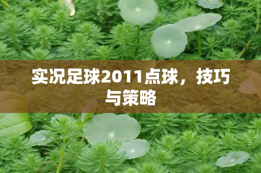 实况足球2011点球图片