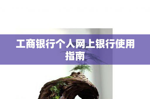工商银行个人网上银行使用指南图片