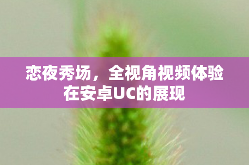 全视角视频体验在安卓UC的展现图片
