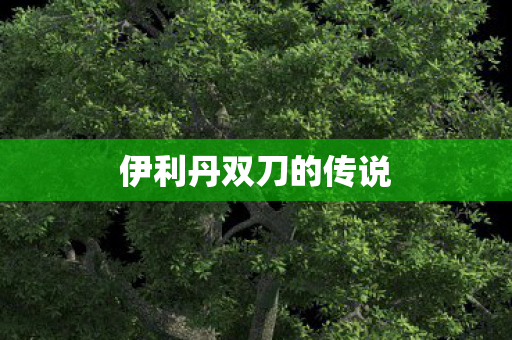 伊利丹双刀的传说图片