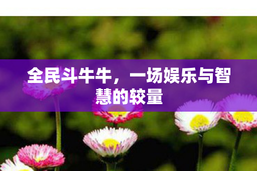 一场娱乐与智慧的较量图片