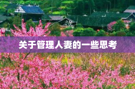 关于管理人妻的一些思考图片