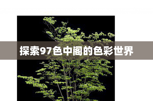 探索97色中阁的色彩世界图片