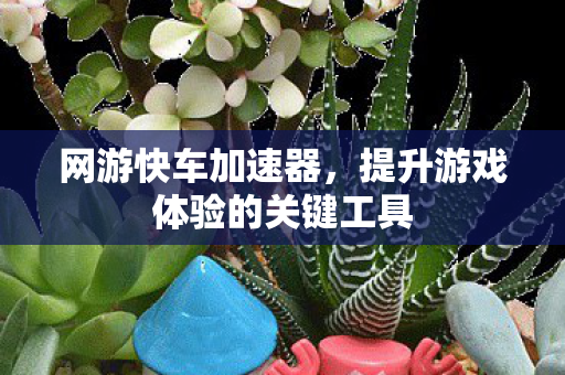 提升游戏体验的关键工具图片