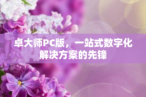 一站式数字化解决方案的先锋图片