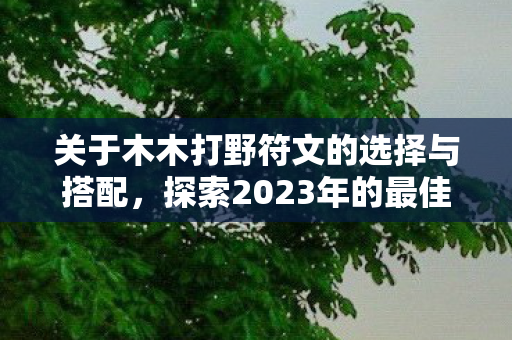 关于木木打野符文的选择与搭配图片