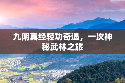 九阴真经轻功奇遇图片