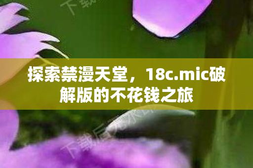 mic破解版的不花钱之旅图片