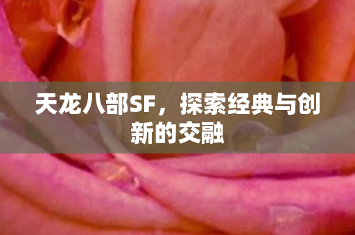 探索经典与创新的交融图片