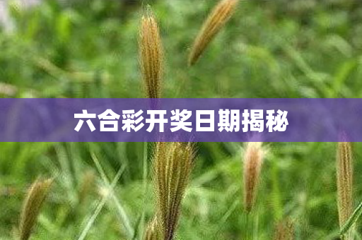 六合彩开奖日期揭秘图片