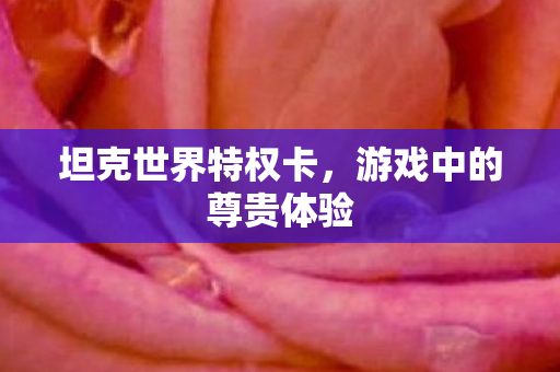 游戏中的尊贵体验图片