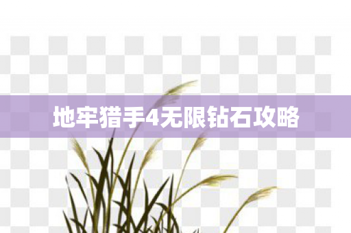 地牢猎手4无限钻石攻略图片