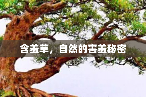 自然的害羞秘密图片