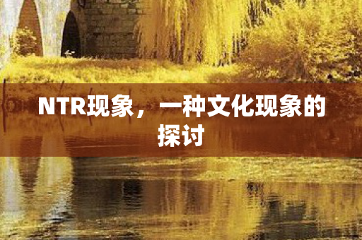 一种文化现象的探讨图片