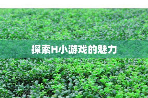 探索H小游戏的魅力图片