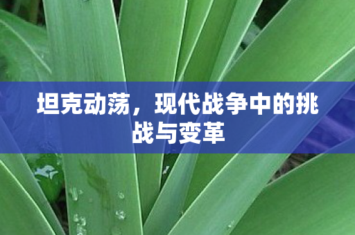 现代战争中的挑战与变革图片