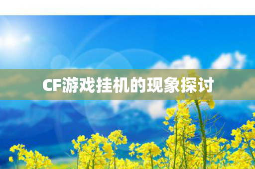 CF游戏挂机的现象探讨图片