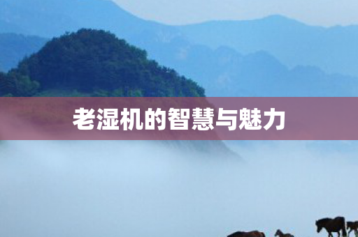 老湿机的智慧与魅力图片