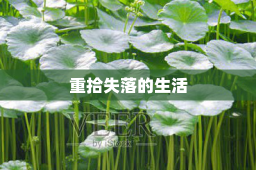 重拾失落的生活图片