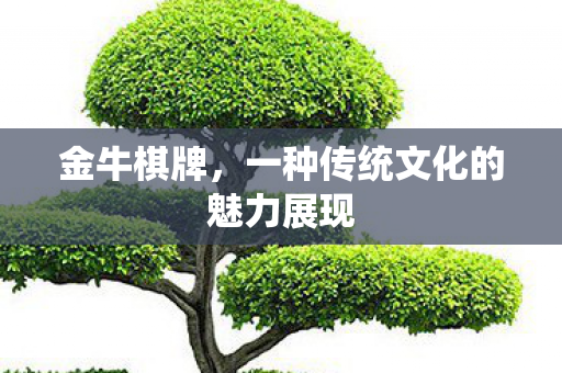 一种传统文化的魅力展现图片