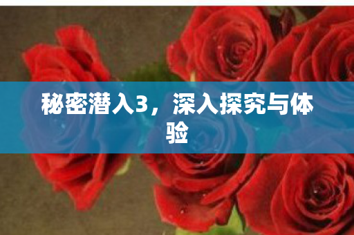 深入探究与体验图片