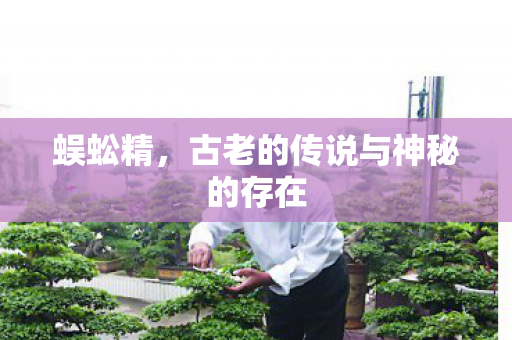 古老的传说与神秘的存在图片