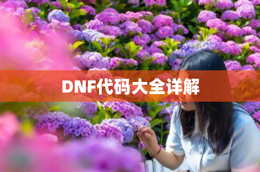 DNF代码大全详解图片