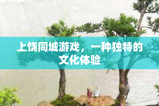 一种独特的文化体验图片